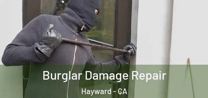  Burglar Damage Repair Hayward - CA