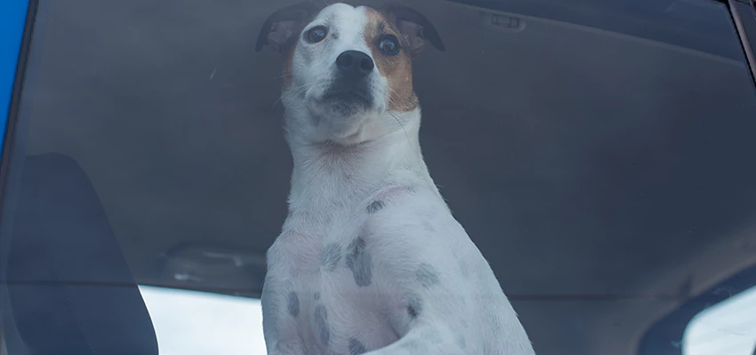 Car Lockout Solutions in Hayward, California