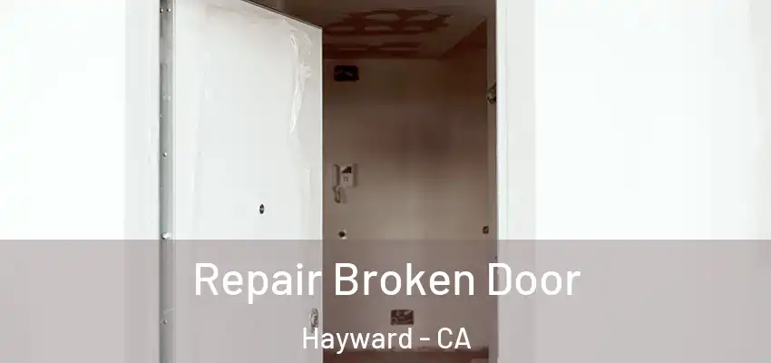  Repair Broken Door Hayward - CA